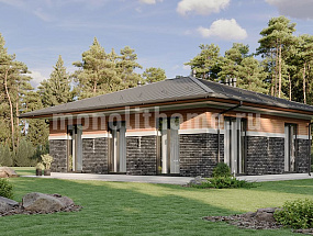 Проект дома Айронвуд — 1