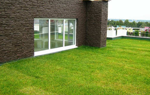 Зеленая крыша