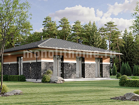 Проект дома Айронвуд — 2