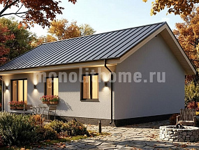 Проект дома Торен — 1